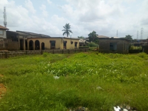 500 Sqm Of Land In A Very Decent Area Good For Residential 500 Meter Square of Land for Sale Ipaja Lagos Vetra  Property