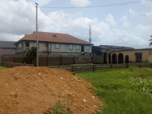 Image 1 Title