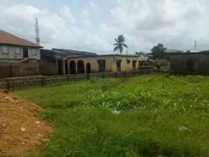 Image 1 Title