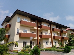 Tastefully Furnished 4 Bedroom Terraced Duplex With A Room Boys' Quarters  4 bedroom Terraced Duplex for Sale Lekki Lagos Vetra  Property