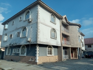 Spacious And Neaty Built 3 Bedroom Flat  3 bedroom Flat for Rent Lekki Lagos Vetra  Property