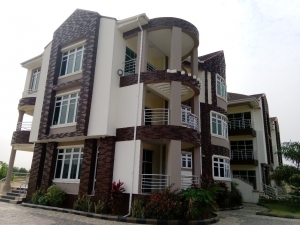 Image 1 Title