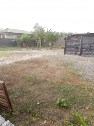 Fenced And Gated Dry Land In A Good Location 2 Plots of Land for Sale Ibeju Lekki Lagos Vetra  Property