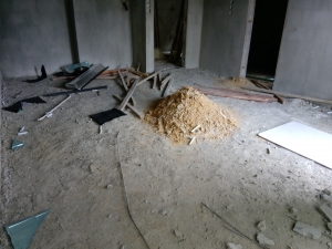 Image 1 Title