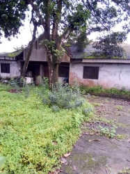 4 Bedroom Bungalow In A Serene Neighbourhood 4 bedroom Detached Bungalow for Sale Port Harcourt Rivers Vetra  Property