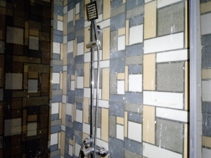 Image 1 Title