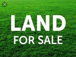 Plots Of Land For Sale  4,200 Meter Square of Land for Sale Lekki Lagos Vetra  Property
