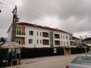 Image 1 Title