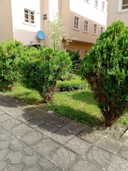 Image 1 Title