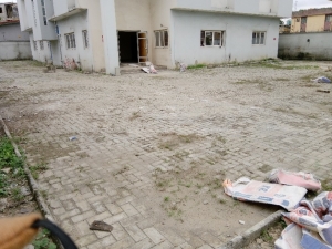 Image 1 Title