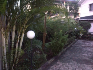 Image 1 Title