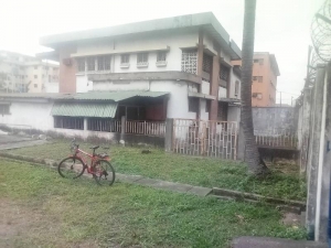 Image 1 Title