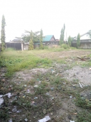 Full Plot Of Fenced And Gated Land  1 Plot of Land for Sale Ibeju Lekki Lagos Vetra  Property