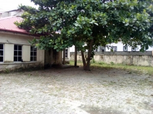 Image 1 Title