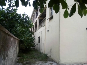 Image 1 Title