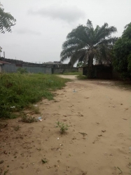 2 And Half Plots Of Fenced And Gated Land Just A Plot From The Expressway  3 Plots of Land for Sale Ajah Lagos Vetra  Property
