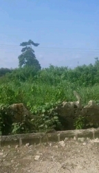 3 Plots Of Land Approximately 2038sqm Of Land  2,038 Meter Square of Land for Sale Isolo Lagos Vetra  Property
