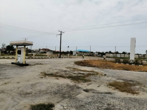 Image 1 Title