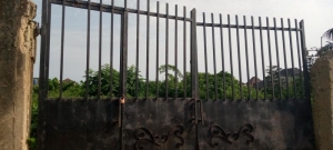 Image 1 Title