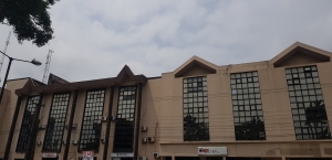 Image 1 Title