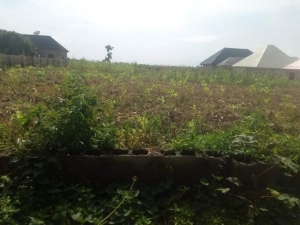2 Serial Estate Plots For Sale 2 Plots of Land for Sale Lugbe Abuja Vetra  Property