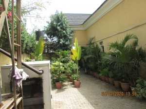 Image 1 Title