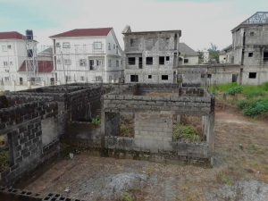 Image 1 Title