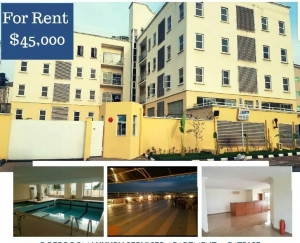 3 Bedroom Luxury Serviced Apartment  3 bedroom Penthouse for Rent Asokoro Abuja Vetra  Property