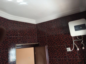Image 1 Title