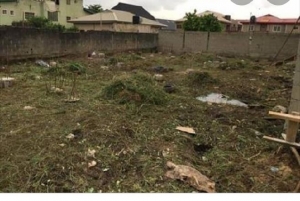 600 Sqm Of Land  600 Meter Square of Land for Sale Lekki Lagos Vetra  Property