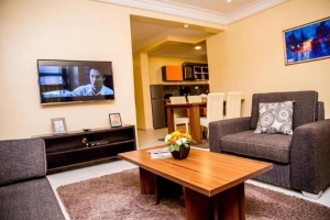 Furnish 2 Bedroom Apartment  2 bedroom Flat for Short let Garki 2 Abuja Vetra  Property