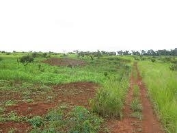 A Plots Of Land  1 Plot of Land for Sale Enugu Enugu Vetra  Property