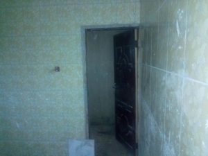 Image 1 Title