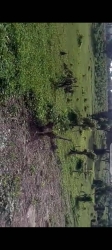 A Bareland Measuring 2000sqm 2,000 Meter Square of Land for Sale Lugbe Abuja Vetra  Property