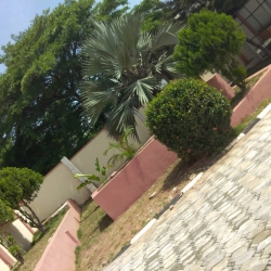 Image 1 Title