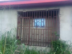 Image 1 Title