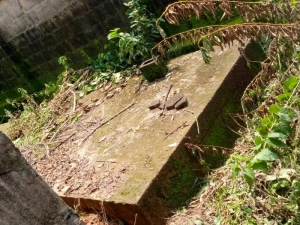 Image 1 Title
