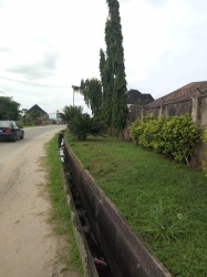 Image 1 Title