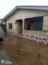  7 Units Of Miniflats With 4shops  7 bedroom Detached Bungalow for Sale Ipaja Lagos Vetra  Property