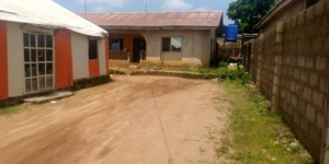 Image 1 Title