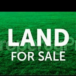 Standard Half Plot Of Land At Amuwodofin Lagos 1 Plot of Land for Sale Isolo Lagos Vetra  Property