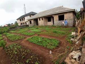 For Sale 3bedroom Bungalow Setback At Victory Estate Itele Ayobo 3 bedroom Detached Bungalow for Sale Ipaja Lagos Vetra  Property