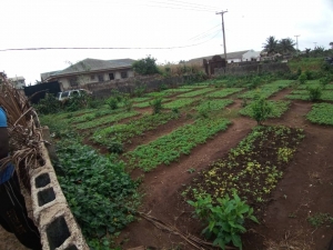 Image 1 Title