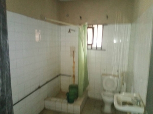 Image 1 Title