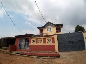 Image 1 Title