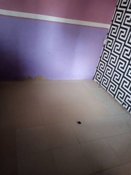 Lovely And Portable Self Contained Self Contain for Rent Gbagada Lagos Vetra  Property