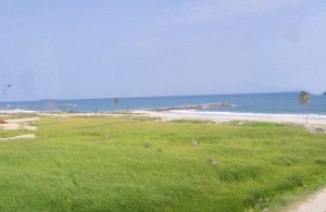 Image 1 Title