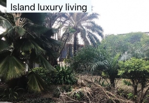 500sqm Front Plot Land 500 Meter Square of Land for Sale Ikoyi Lagos Vetra  Property