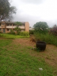Image 1 Title