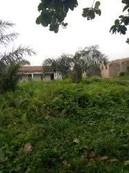Image 1 Title